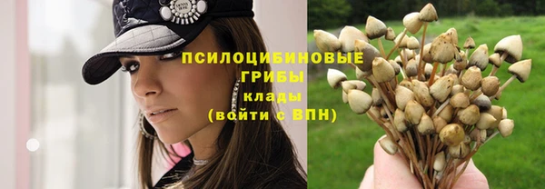 прущий лед Алексин