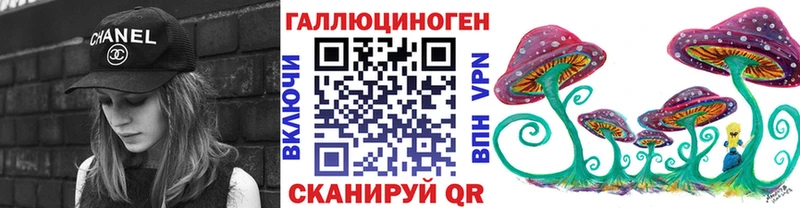 Купить Болгар Псилоцибиновые грибы прущие грибы